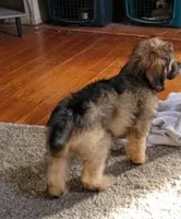 processed/234d2450-fad6-4cb2-a3fb-0ba86ecb68ea/listing/2ddc3ba7-b72b-450c-97a4-df8a7d2d7afd/c4b8dbc6-a359-4c37-9748-ff60d9b064cb