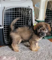 processed/234d2450-fad6-4cb2-a3fb-0ba86ecb68ea/listing/2ddc3ba7-b72b-450c-97a4-df8a7d2d7afd/f25631bb-b52c-4648-a5a4-41b0db3b279b