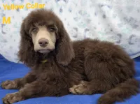 processed/234d2450-fad6-4cb2-a3fb-0ba86ecb68ea/listing/59a0f551-6d0b-4c93-8883-c8452e972399/12611fda-2442-496d-a408-007ea35adbed