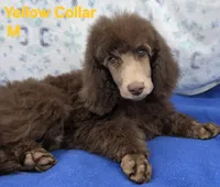 processed/234d2450-fad6-4cb2-a3fb-0ba86ecb68ea/listing/59a0f551-6d0b-4c93-8883-c8452e972399/493bb756-94b1-4336-b0d6-fb5440accf5d