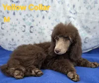 processed/234d2450-fad6-4cb2-a3fb-0ba86ecb68ea/listing/59a0f551-6d0b-4c93-8883-c8452e972399/c20db6e4-c186-434e-b9ca-69776177f1c8