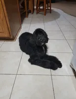 processed/234d2450-fad6-4cb2-a3fb-0ba86ecb68ea/listing/b38129e3-343f-409f-a2a0-6fd9e18d0ef4/0c53df53-a4e8-43c4-851b-a0dd2841d527