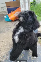 processed/234d2450-fad6-4cb2-a3fb-0ba86ecb68ea/listing/b38129e3-343f-409f-a2a0-6fd9e18d0ef4/0e5abe0a-6f05-4339-b7ae-a9c45b694f64