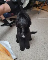 processed/234d2450-fad6-4cb2-a3fb-0ba86ecb68ea/listing/b38129e3-343f-409f-a2a0-6fd9e18d0ef4/1fd6a735-c7c7-42b6-af29-e45a9afc8cd2