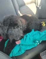 processed/234d2450-fad6-4cb2-a3fb-0ba86ecb68ea/listing/b38129e3-343f-409f-a2a0-6fd9e18d0ef4/322d0421-7559-4ed2-b758-a1efb95c039b