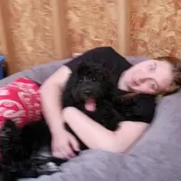 Ollie Trained!, a male Poodle - Miniature  and Miniature Bernedoodle for sale in Poplar Grove, IL – Photo 4 of 8