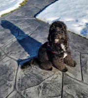 processed/234d2450-fad6-4cb2-a3fb-0ba86ecb68ea/listing/b38129e3-343f-409f-a2a0-6fd9e18d0ef4/b9d16226-9ed6-4077-a054-6ad8dfc2c1be