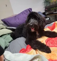 processed/234d2450-fad6-4cb2-a3fb-0ba86ecb68ea/listing/b38129e3-343f-409f-a2a0-6fd9e18d0ef4/dd668de0-b032-407f-93c3-e3c9fca95b52