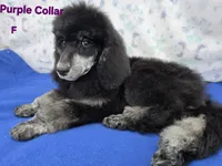 processed/234d2450-fad6-4cb2-a3fb-0ba86ecb68ea/listing/c75858cd-d18a-48dc-aecd-979f4a4d4b92/13a84754-2b82-44f6-b90f-869ce9d6ce4c