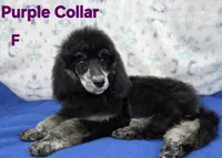 processed/234d2450-fad6-4cb2-a3fb-0ba86ecb68ea/listing/c75858cd-d18a-48dc-aecd-979f4a4d4b92/68c72caa-3992-467a-9d6a-2ec697b6e4cf