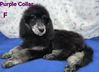 processed/234d2450-fad6-4cb2-a3fb-0ba86ecb68ea/listing/c75858cd-d18a-48dc-aecd-979f4a4d4b92/b9fa7e57-66be-445d-8834-910b0214b1b6