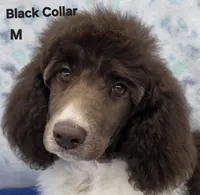 processed/234d2450-fad6-4cb2-a3fb-0ba86ecb68ea/listing/ce1637bd-38fc-4aa0-acce-bb54020efb92/a7be6c29-e0e9-4631-aed5-452b8ce280e7