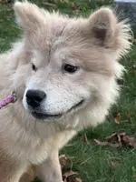 processed/23611efe-c350-458b-8eb1-7ee050c47c6d/listing/4bf24f59-ea63-43a1-96dc-56e28b678202/1eeea0ce-d218-4320-a524-2f24090aa925