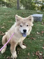 processed/23611efe-c350-458b-8eb1-7ee050c47c6d/listing/4bf24f59-ea63-43a1-96dc-56e28b678202/2540cae3-e59e-47df-80ea-97f8f60ea58b