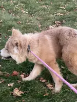 processed/23611efe-c350-458b-8eb1-7ee050c47c6d/listing/4bf24f59-ea63-43a1-96dc-56e28b678202/607e1399-2f9a-4614-8d88-41bcc8380608