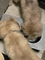 processed/23611efe-c350-458b-8eb1-7ee050c47c6d/listing/4bf24f59-ea63-43a1-96dc-56e28b678202/8d36fe53-8a78-4137-bebf-14234be1fe01