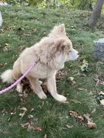 processed/23611efe-c350-458b-8eb1-7ee050c47c6d/listing/4bf24f59-ea63-43a1-96dc-56e28b678202/a2382e66-82b1-449f-ae36-f3aad1291455