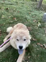 processed/23611efe-c350-458b-8eb1-7ee050c47c6d/listing/4bf24f59-ea63-43a1-96dc-56e28b678202/b4299264-4545-4ccb-9305-7fb3ad33143d