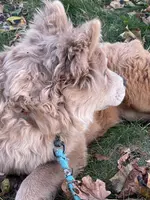 processed/23611efe-c350-458b-8eb1-7ee050c47c6d/listing/7d0ef7f9-3140-4c4a-b89a-7bc6d362a390/5dd5cdb1-3600-4405-9dfc-554bc5aa47c6