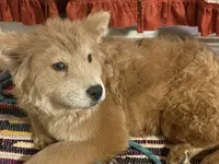 processed/23611efe-c350-458b-8eb1-7ee050c47c6d/listing/7d0ef7f9-3140-4c4a-b89a-7bc6d362a390/6a74e1fc-cae0-42f7-9844-402356b1ca17