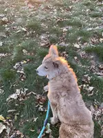 processed/23611efe-c350-458b-8eb1-7ee050c47c6d/listing/7d0ef7f9-3140-4c4a-b89a-7bc6d362a390/c1051996-5907-44d8-8d6f-53c310ccbb1e