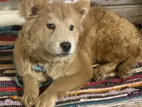 processed/23611efe-c350-458b-8eb1-7ee050c47c6d/listing/7d0ef7f9-3140-4c4a-b89a-7bc6d362a390/d119bb65-d7f0-4c3f-8c66-33ffc8c51088