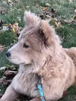 processed/23611efe-c350-458b-8eb1-7ee050c47c6d/listing/7d0ef7f9-3140-4c4a-b89a-7bc6d362a390/d718def9-5c98-4814-9f22-adf835016f53