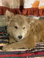 processed/23611efe-c350-458b-8eb1-7ee050c47c6d/listing/7d0ef7f9-3140-4c4a-b89a-7bc6d362a390/ef23aaff-8e41-40e9-8216-e5a1ceda00c0