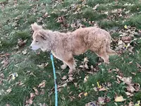 processed/23611efe-c350-458b-8eb1-7ee050c47c6d/listing/7d0ef7f9-3140-4c4a-b89a-7bc6d362a390/fcb0e3ed-6468-4329-802f-fb7d9f485dfa