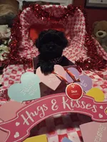 processed/23737cda-1ef2-4427-8dd0-55a25cec06ab/listing/02e008e7-4c26-44f6-aba2-bd25b06d5fbc/b24e4d3d-4582-4935-8c8e-b422e5c8bc5d