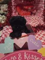 processed/23737cda-1ef2-4427-8dd0-55a25cec06ab/listing/02e008e7-4c26-44f6-aba2-bd25b06d5fbc/dafbad43-7364-404a-a1b1-6a6c411374b5