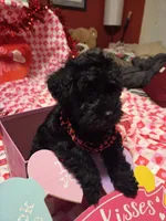 processed/23737cda-1ef2-4427-8dd0-55a25cec06ab/listing/61c46648-1d2b-4c05-b808-1186406fe179/0467187b-e0f6-458a-8b19-b572a7a757a9