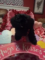 processed/23737cda-1ef2-4427-8dd0-55a25cec06ab/listing/61c46648-1d2b-4c05-b808-1186406fe179/845e69df-4231-4269-870f-10e143e72cc7