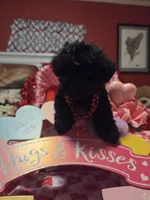 processed/23737cda-1ef2-4427-8dd0-55a25cec06ab/listing/61c46648-1d2b-4c05-b808-1186406fe179/b3f7deeb-599b-4fc1-92d3-2c779c779bc5