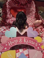 processed/23737cda-1ef2-4427-8dd0-55a25cec06ab/listing/a41244f1-5aec-4011-a6dc-28e31de901ad/31535b7f-7e72-45c3-8a31-c616d3f353c1