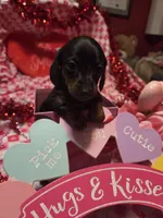 processed/23737cda-1ef2-4427-8dd0-55a25cec06ab/listing/a41244f1-5aec-4011-a6dc-28e31de901ad/375c7d1f-fe1c-4556-9639-90588ff57b6f