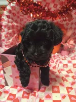 processed/23737cda-1ef2-4427-8dd0-55a25cec06ab/listing/d6de7a9f-d544-498b-9f0b-756754711378/0e7143e4-45b0-4300-bb05-4edd417bdf06