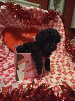 processed/23737cda-1ef2-4427-8dd0-55a25cec06ab/listing/d6de7a9f-d544-498b-9f0b-756754711378/f1047c27-3a1c-4e0b-ba4a-e2a143ddfd19