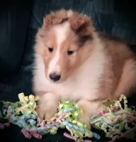 processed/237748fd-edf3-41e0-936c-fa17778e7cb1/facility/1bad7e5e-e547-49db-accc-7e656cfcd4fd