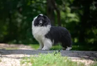 processed/237748fd-edf3-41e0-936c-fa17778e7cb1/listing/2fa4d847-193f-474b-a725-690ca052a0ba/0481ca23-2daf-41c3-b264-894ef03d35da