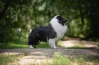 processed/237748fd-edf3-41e0-936c-fa17778e7cb1/listing/2fa4d847-193f-474b-a725-690ca052a0ba/589892f0-23ef-4d15-be91-972729787d55