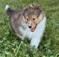 processed/237748fd-edf3-41e0-936c-fa17778e7cb1/listing/3d59f281-971d-49ff-b3cd-0c689839a4be/55763d02-7dd3-476c-b194-9b8bbc4da416