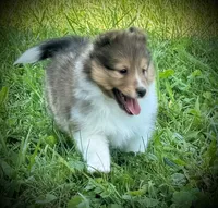 processed/237748fd-edf3-41e0-936c-fa17778e7cb1/listing/3d59f281-971d-49ff-b3cd-0c689839a4be/58532062-6261-4730-9ba9-d09bff75423f