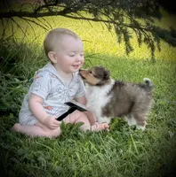 processed/237748fd-edf3-41e0-936c-fa17778e7cb1/listing/3d59f281-971d-49ff-b3cd-0c689839a4be/629d2350-99bb-41e5-9ca4-911f609e61c6