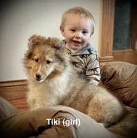 processed/237748fd-edf3-41e0-936c-fa17778e7cb1/listing/3d59f281-971d-49ff-b3cd-0c689839a4be/a8ff0225-f280-4ce2-82a2-418b8429d28a