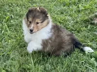 processed/237748fd-edf3-41e0-936c-fa17778e7cb1/listing/3d59f281-971d-49ff-b3cd-0c689839a4be/e7721e6e-e9f1-47d3-ad64-a8636d2f58a9