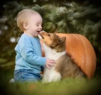 processed/237748fd-edf3-41e0-936c-fa17778e7cb1/listing/43edef90-1858-47a7-960d-0aa4561a50ad/722070c4-a0c6-4e7d-8335-92992c474ea6