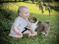 processed/237748fd-edf3-41e0-936c-fa17778e7cb1/listing/d3b7f8be-b33c-4cd8-b56f-65a33c335dd0/58fe6d68-60cf-493c-b5c1-caafd0107784