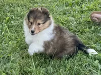 processed/237748fd-edf3-41e0-936c-fa17778e7cb1/listing/d3b7f8be-b33c-4cd8-b56f-65a33c335dd0/619bc6ec-9751-4fab-ac4a-f7f303adcf2c