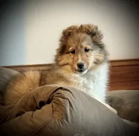 processed/237748fd-edf3-41e0-936c-fa17778e7cb1/listing/d3b7f8be-b33c-4cd8-b56f-65a33c335dd0/a4f4af0f-9be4-4e51-81f0-fcaffa2ec755